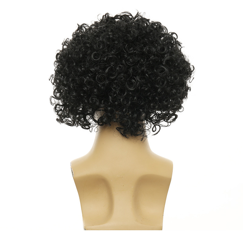 Unisex Big Curly Afro Wig - 3  - Women'S Accessories In The 70S recension och pris